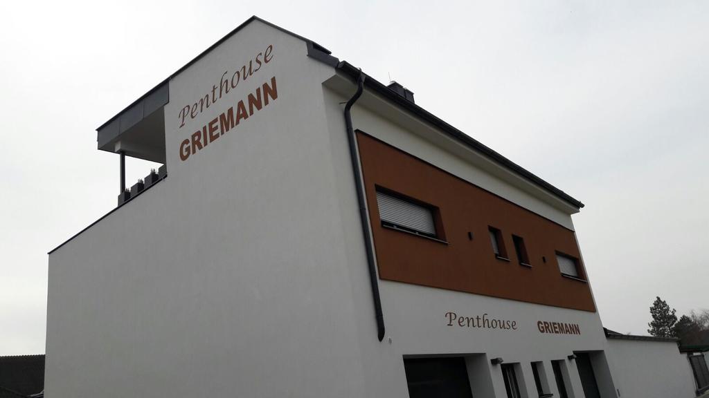 Penthouse Griemann 2 Fuer Max 4 Personen Mit Eigener Grosser Dachterrasse Zum Relaxen! 伊尔米茨 外观 照片